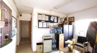 Oficinas de 384 m² en Fuente el Saz de Jarama (28140)