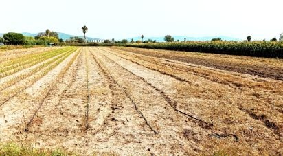 Land of 3,150 m² in Gavà (08850)