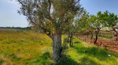 Land of 3,150 m² in Gavà (08850)