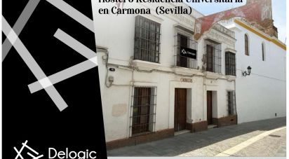 Maison 4 chambres de 467 m² à Carmona (41410)
