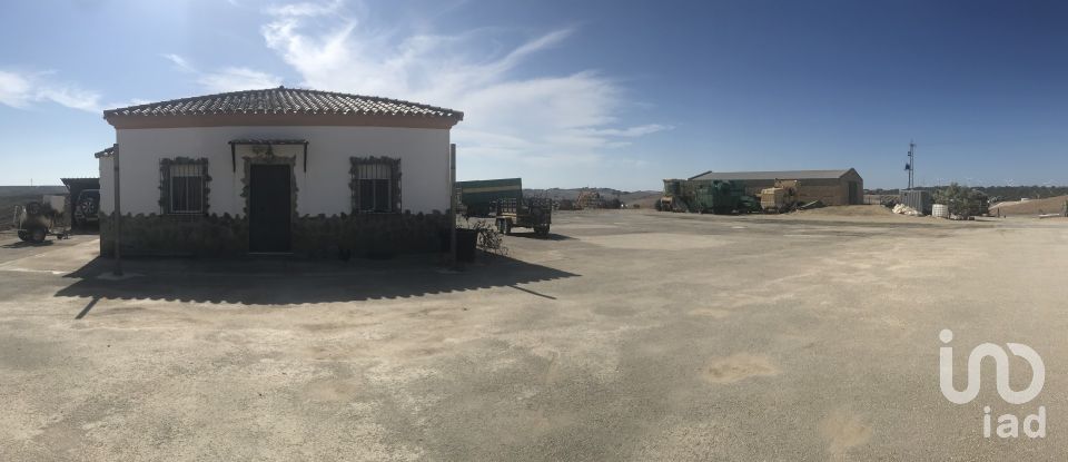 Terrain de 150 000 m² à Medina-Sidonia (11170)