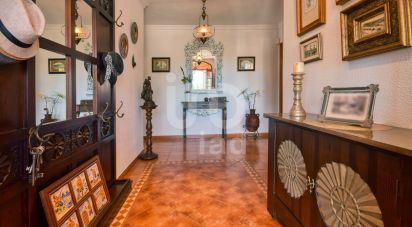 Country house 4 bedrooms of 439 m² in Canals (46650)
