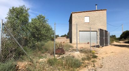 Terreny agrícola de 3.821 m² a Fulleda (25411)