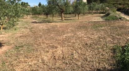 Terrain agricole de 3 821 m² à Fulleda (25411)