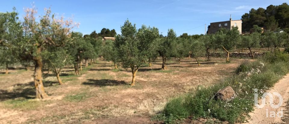 Agricultural land of 3,821 m² in Fulleda (25411)
