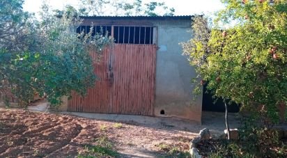 Terreno de 16.000 m² en Vilanova i la Geltrú (08800)