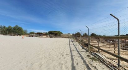 Land of 14,700 m² in Tarragona (43005)