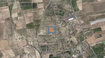 Terrain de 10 000 m² à Partida El Molar (03194)