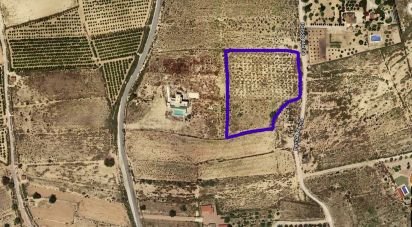 Terreno de 10.000 m² en Partida El Molar (03194)