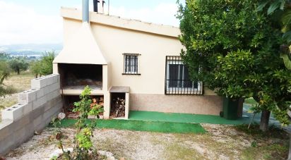 House 5 bedrooms of 225 m² in Sax (03630)