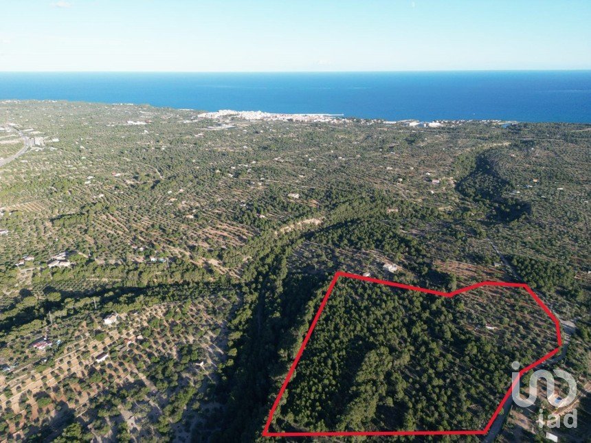 Terreno de 22.079 m² en L'Ametlla de Mar (43860)