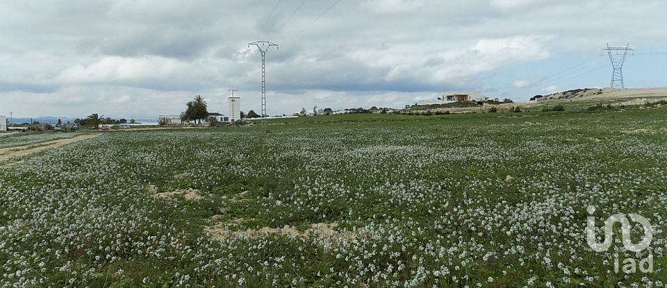 Terrain de 10 000 m² à La Marina del Pinet (03194)