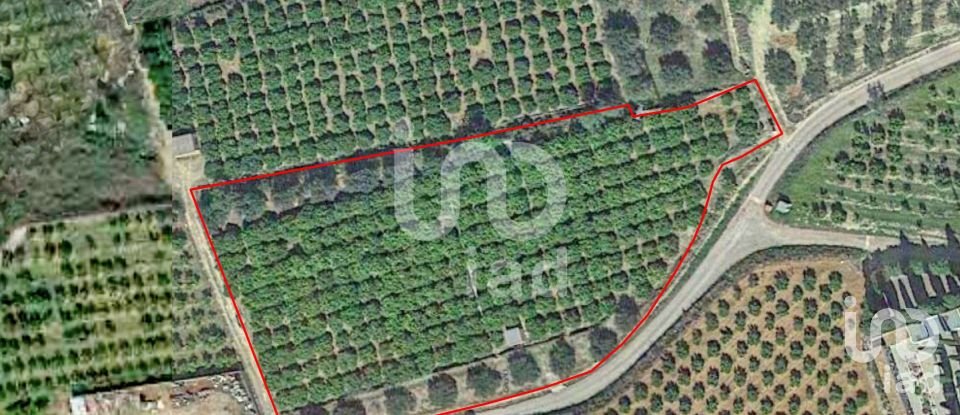 Terreny agrícola de 7.007 m² a Llanera de Ranes (46814)