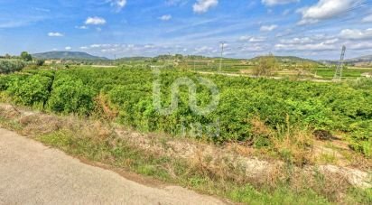 Agricultural land of 7,007 m² in Llanera de Ranes (46814)