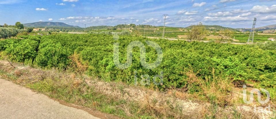 Agricultural land of 7,007 m² in Llanera de Ranes (46814)