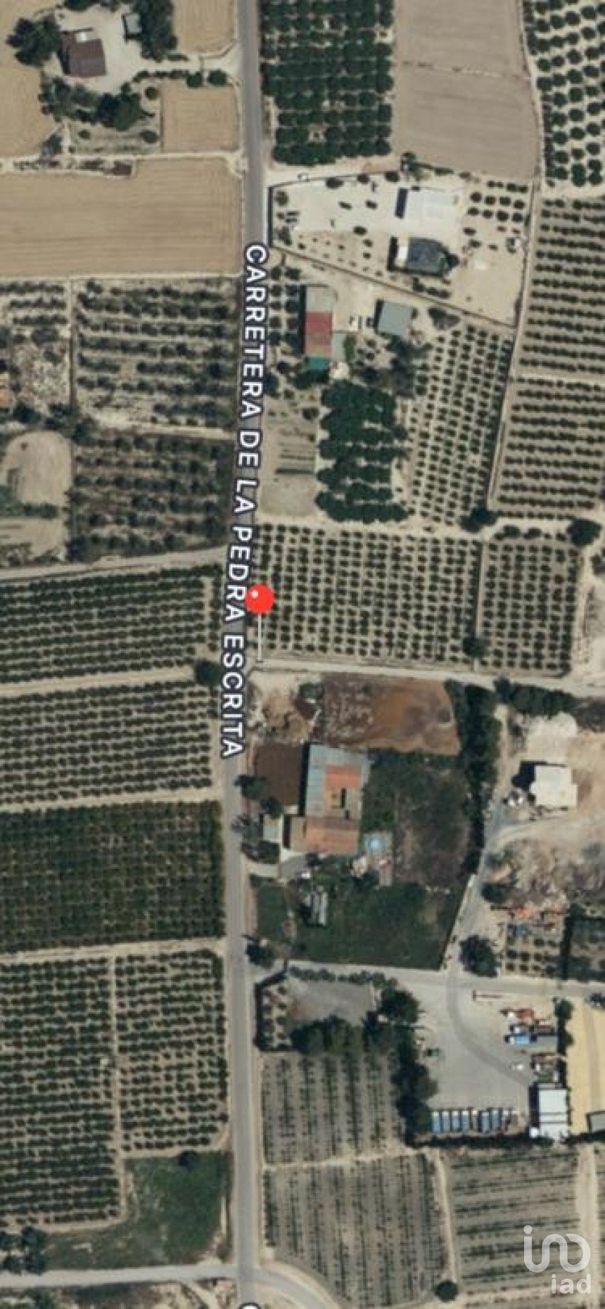 Land of 10,010 m² in Partida Algoros (03293)