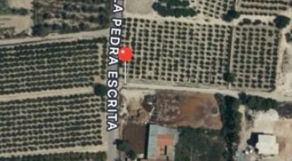 Land of 10,010 m² in Partida Algoros (03293)
