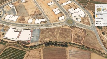 Building plot of 7,000 m² in Lepe (21440)