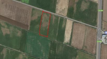 Terreny agrícola de 6.776 m² a Villamediana de La Vega (24359)