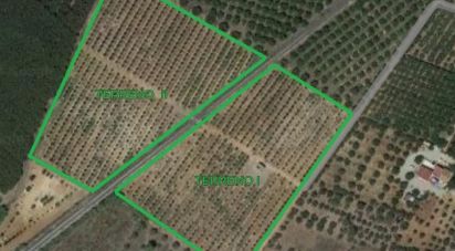 Terrain agricole de 37 000 m² à La Pobla de Mafumet (43140)
