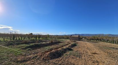 Terreny agrícola de 37.000 m² a La Pobla de Mafumet (43140)