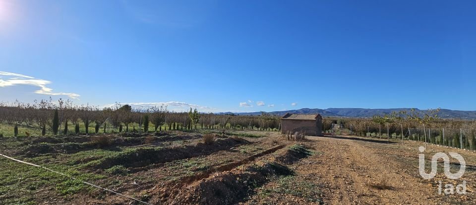 Tierra agrícola de 37.000 m² en La Pobla de Mafumet (43140)