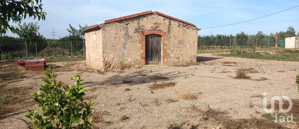 Agricultural land of 37,000 m² in La Pobla de Mafumet (43140)