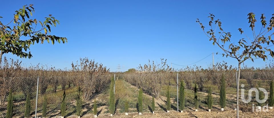 Agricultural land of 37,000 m² in La Pobla de Mafumet (43140)
