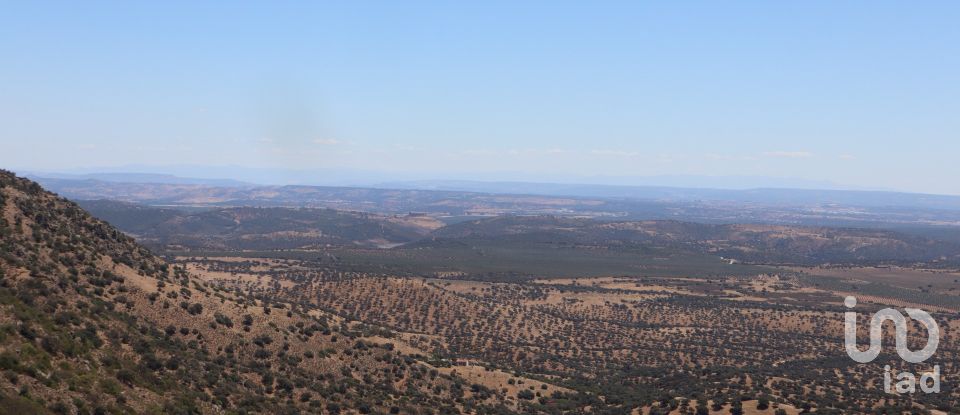 Land of 13,620,000 m² in Andújar (23740)