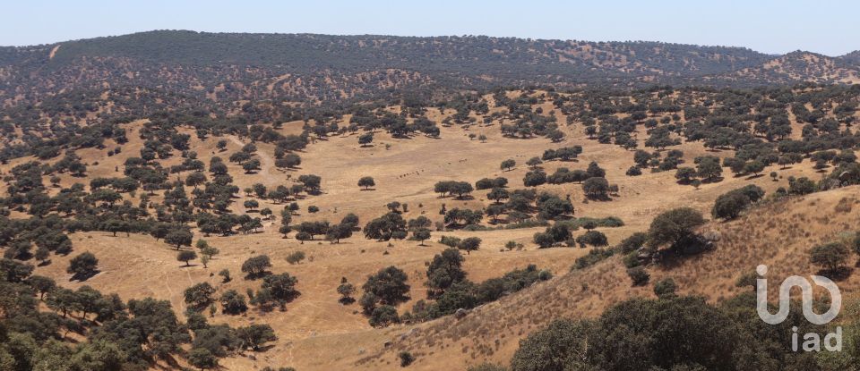 Land of 13,620,000 m² in Andújar (23740)