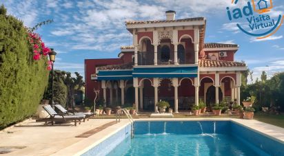 Cottage 8 bedrooms of 500 m² in Torrevieja (03183)