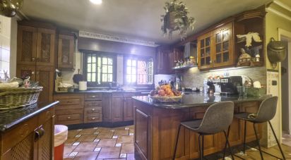 Cottage 8 bedrooms of 500 m² in Torrevieja (03183)