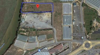Terreny per construir de 5.000 m² a Cartaya (21450)