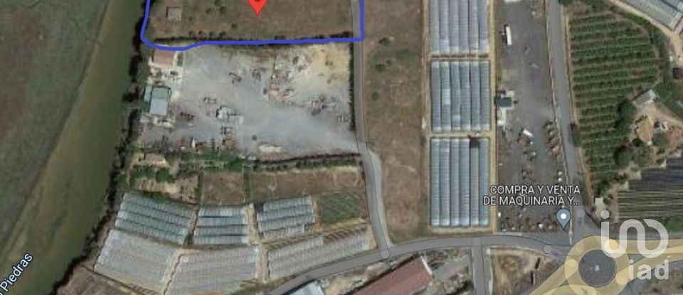 Building land of 5,000 m² in Cartaya (21450)