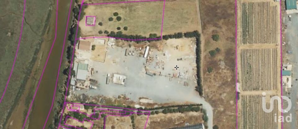 Terrain à bâtir de 5 000 m² à Cartaya (21450)
