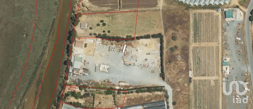 Terrain à bâtir de 5 000 m² à Cartaya (21450)