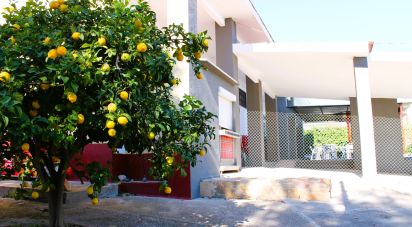 Casa rural 7 habitaciones de 155 m² en La Bisbal del Penedès (43717)