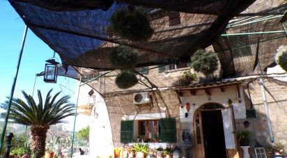 Maison 6 chambres de 234 m² à Sóller (07100)