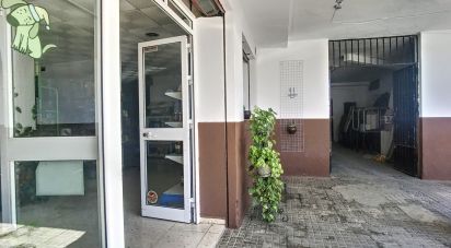 Boutique/Local commercial de 68 m² à Tarifa (11380)