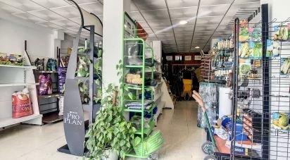 Shop / premises commercial of 68 m² in Tarifa (11380)