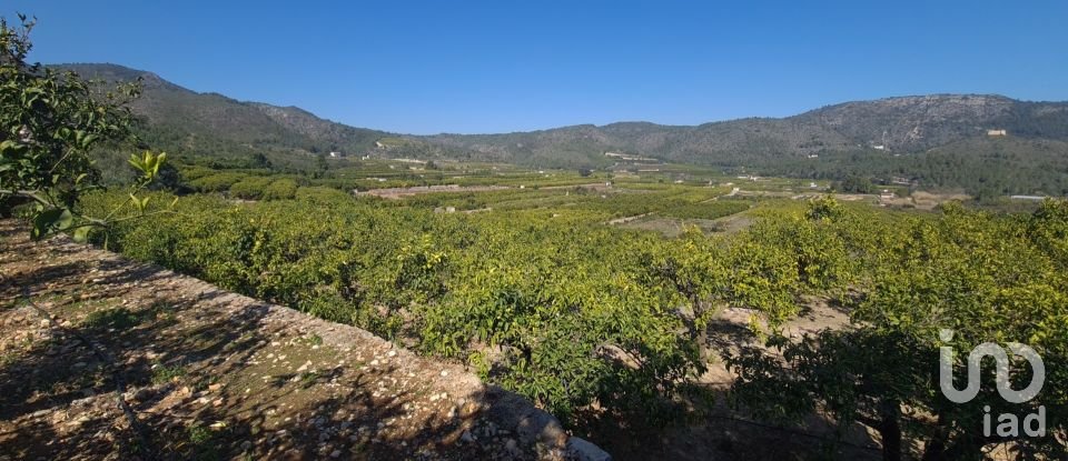 Land of 13,594 m² in Adsubia (03786)