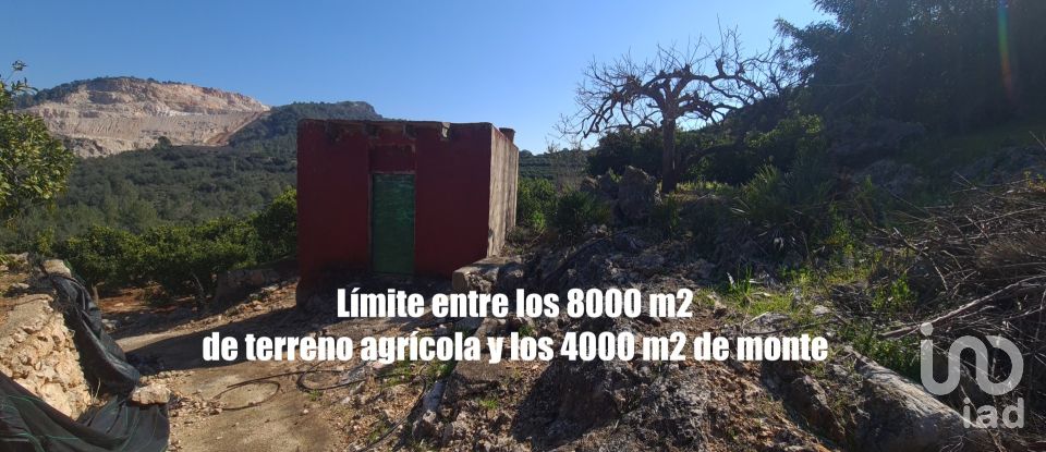 Terreno de 13.594 m² en Adsubia (03786)