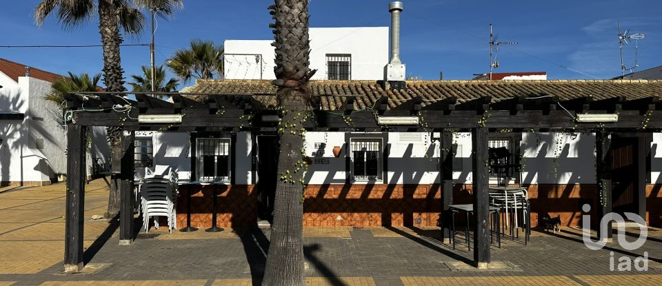 Shop / premises commercial of 189 m² in La Antilla (21449)