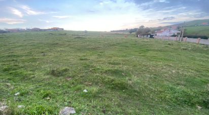 Land of 10,117 m² in Miengo (39310)