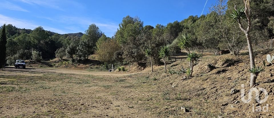 Agricultural land of 6,139 m² in Riudecanyes (43771)