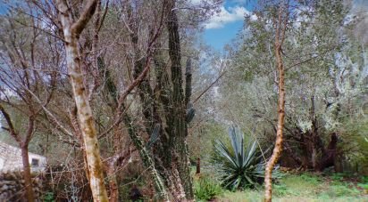 House 6 bedrooms of 417 m² in Alaior (07730)