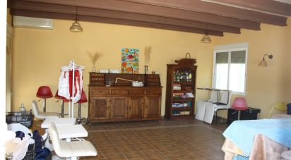 Country house 4 bedrooms of 185 m² in Partida Las Bayas (03292)