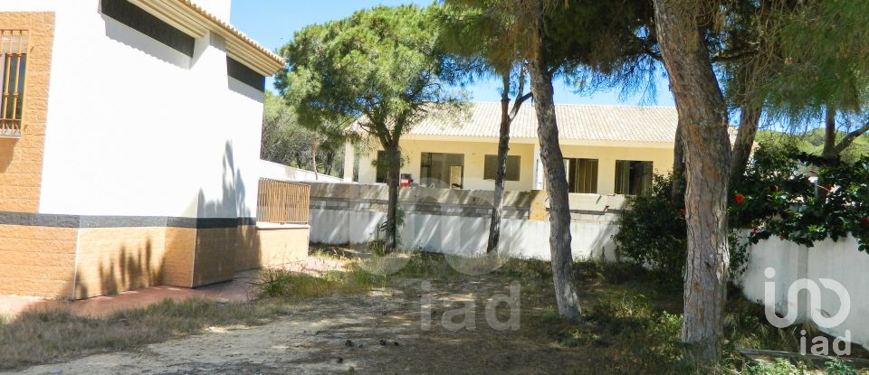 House 4 bedrooms of 277 m² in Palos de la Frontera (21810)