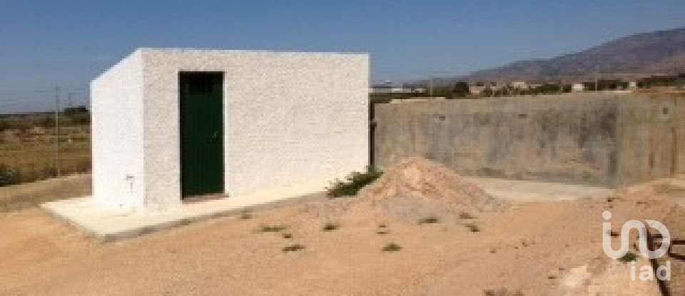 Maison de campagne 4 chambres de 185 m² à Los Almagros (30333)