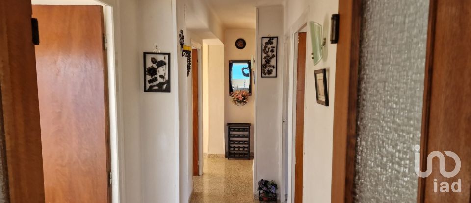 Appartement 3 chambres de 81 m² à L'Ampolla (43895)